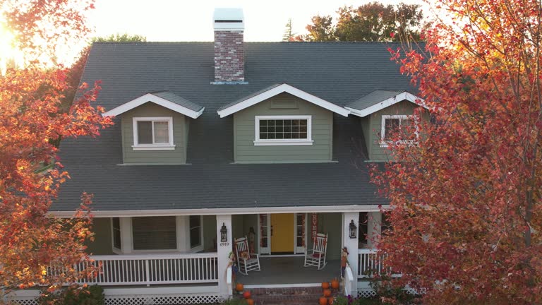 Best Sheet Metal Roofing  in Rineyville, KY
