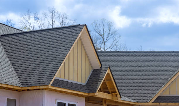 Best Storm Damage Roof Repair  in Rineyville, KY