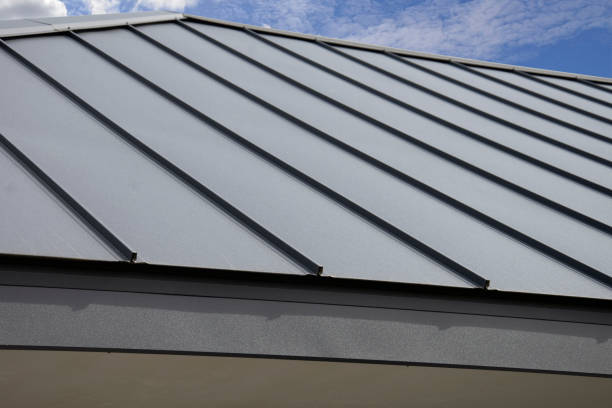 Trusted Rineyville, KY Roofing Service Experts