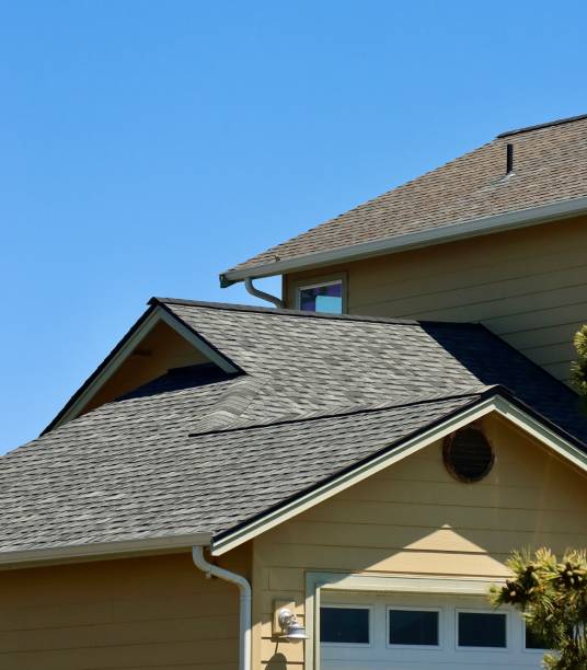 Best Roof Leak Repair  in Rineyville, KY